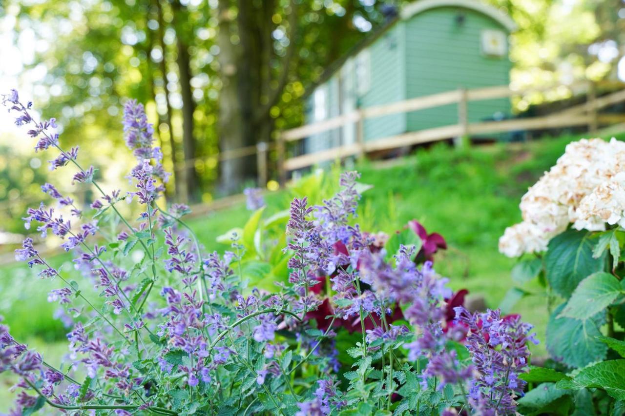 Upper Hulme Lavender Retreat With Private Hot Tub旅馆 外观 照片